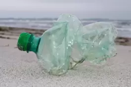 An so ziemlich jedem Strand der Welt zu finden: Plastikflaschen. 